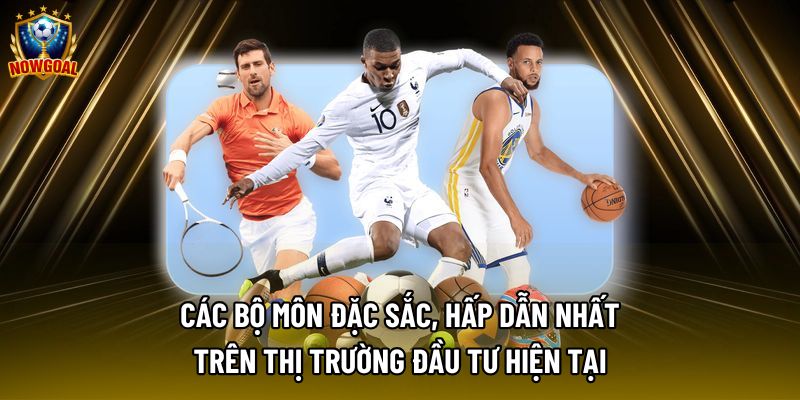 Các bộ môn đặc sắc, hấp dẫn nhất trên thị trường đầu tư hiện tại